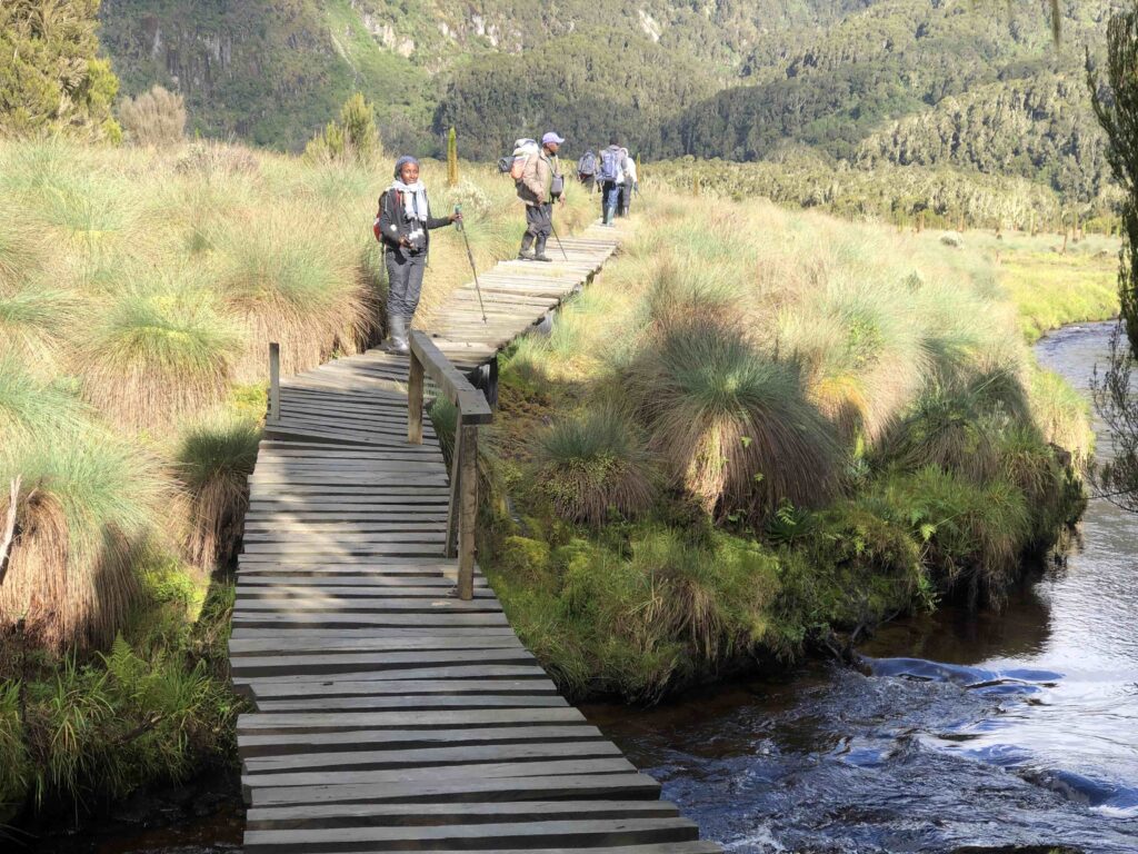 Mt. Rwenzori Board Walkways