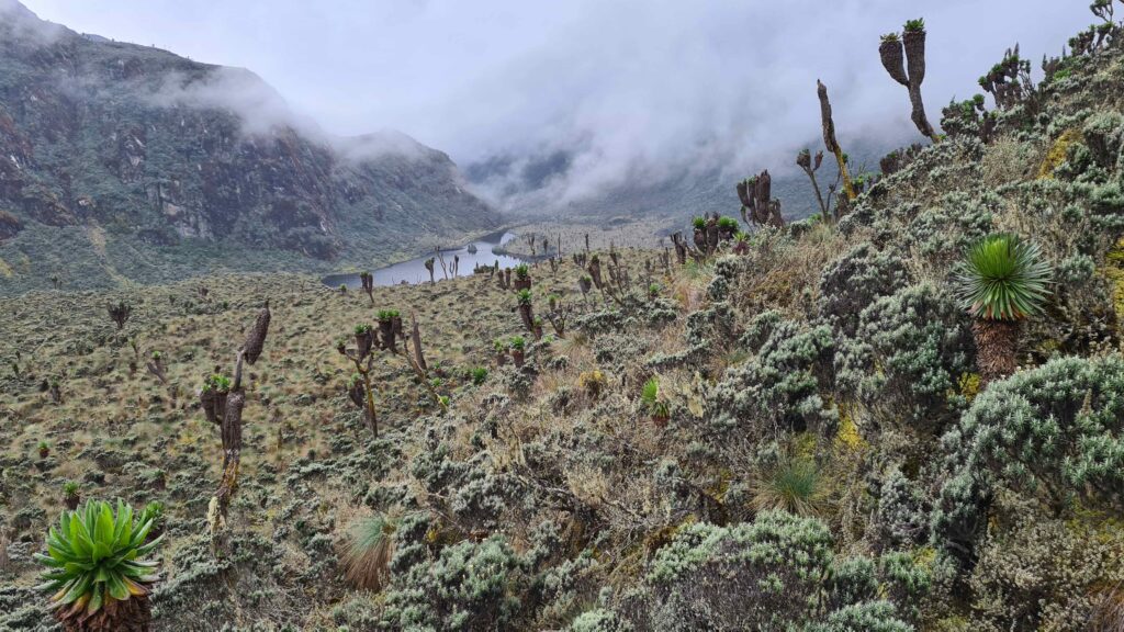 Lake Bukuju