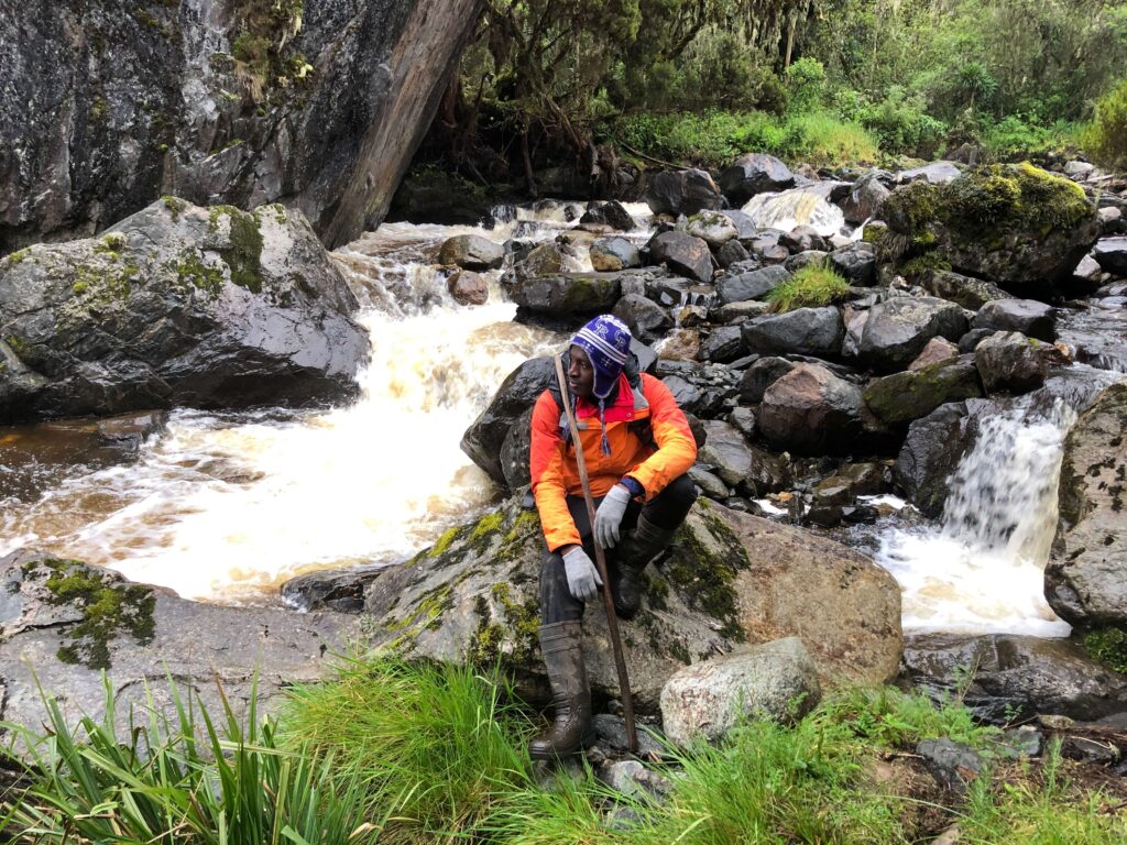 Mt Rwenzori beauty