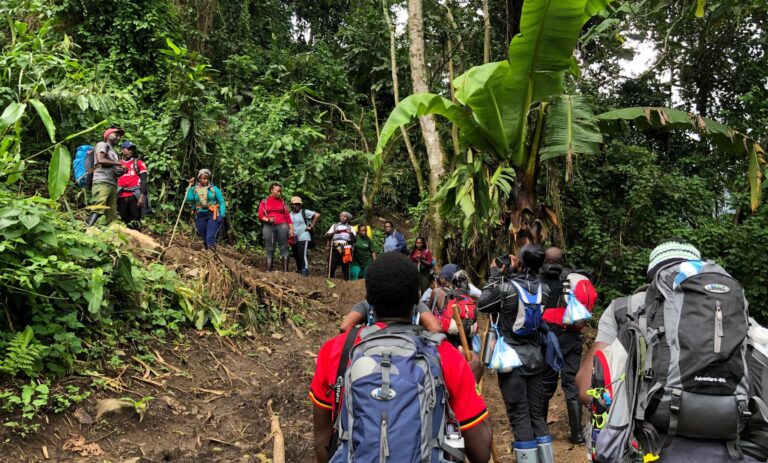 Hiking Mt Rwenzori